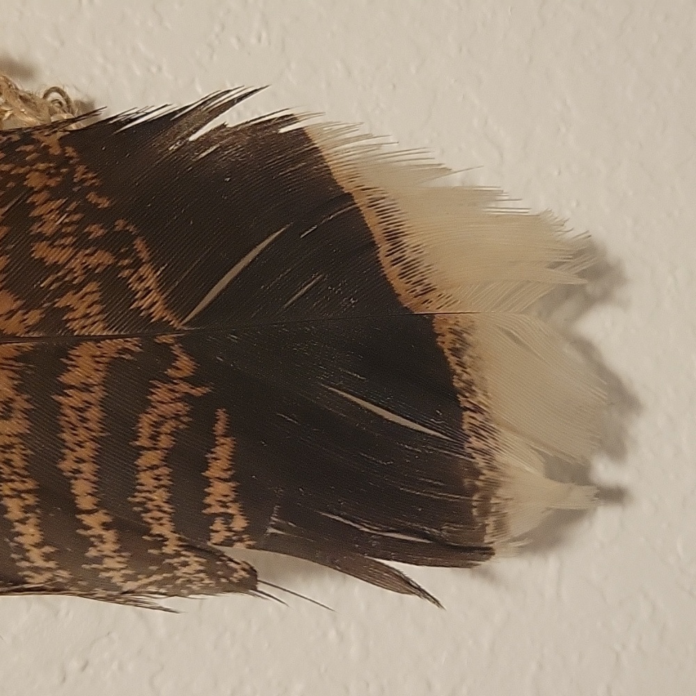 Antler decor - Picture 3 of 6